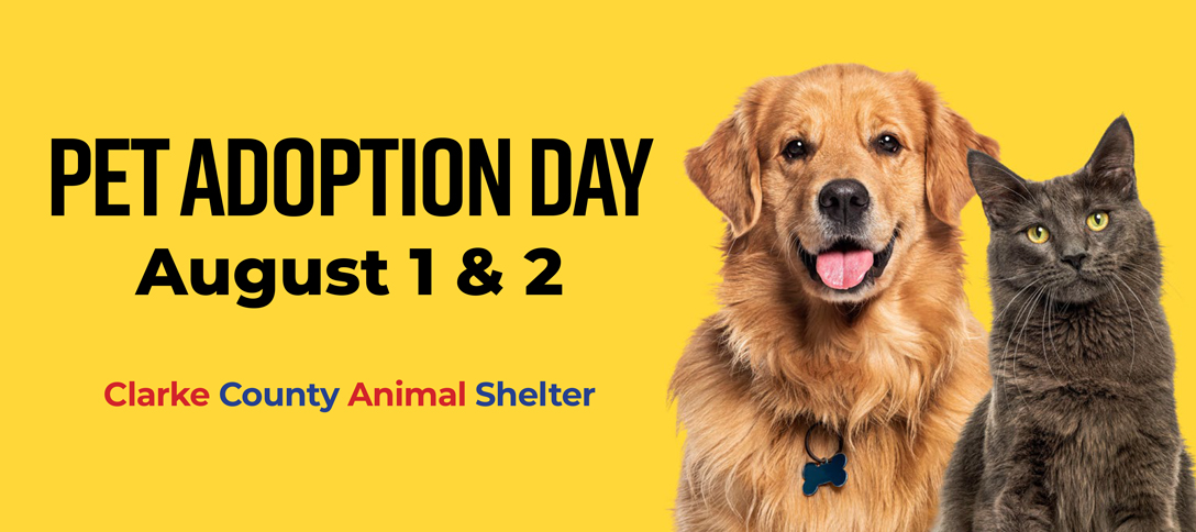 Pet Adoption Day